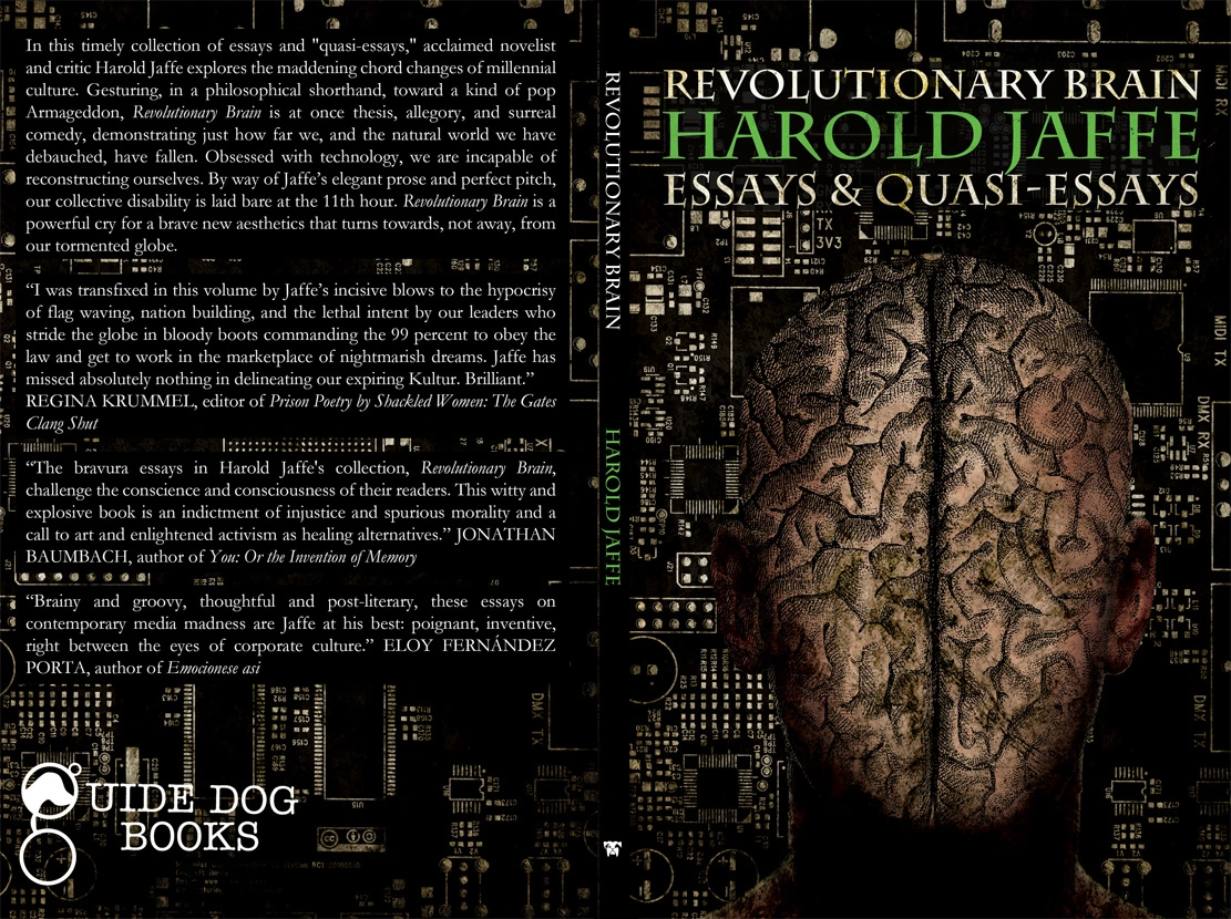 Revolutionary Brain — artwork 2