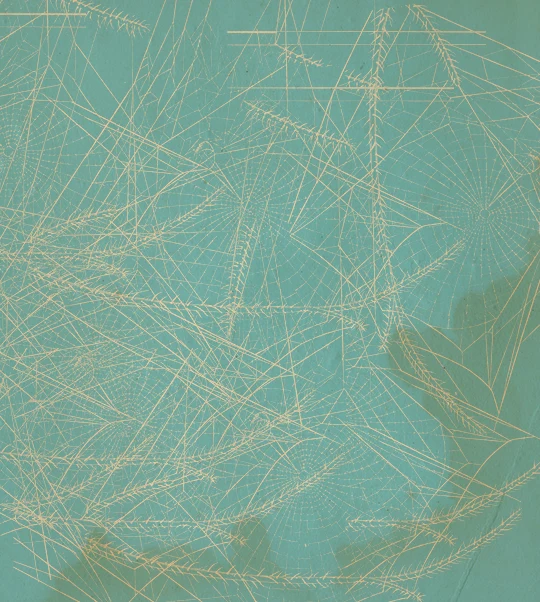 Gossamers (CD sleeve design) — cover design by Matthew Revert